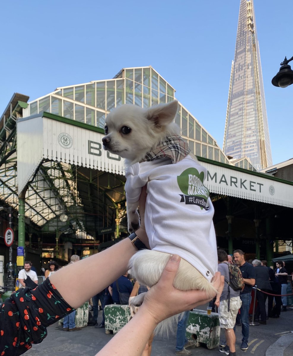BetterBankside's tweet photo. Happy International Dog Day!πΆ We think today could possibly be one of the best days of the year!π To mark this pawfect day, we wanted to showcase some of our lovely four-legged friends of Bankside, who make us smile every time we see them strolling around our area.πΎ #BARKside https://t.co/dc28rYPg7J