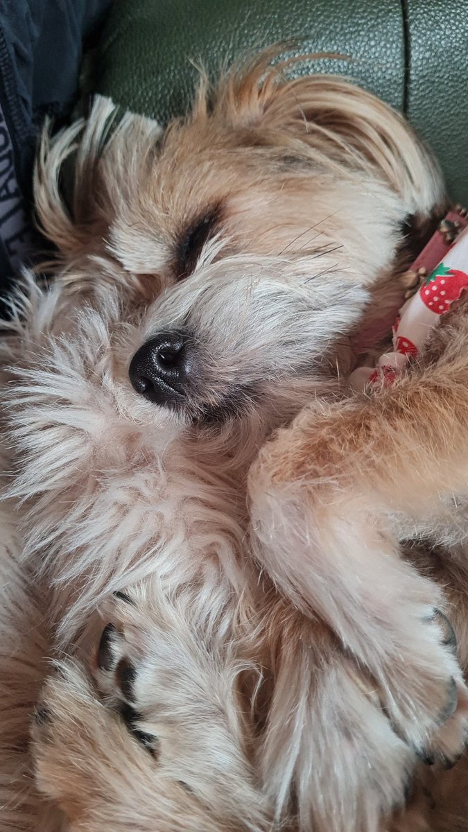 Jess Brooks tweet media