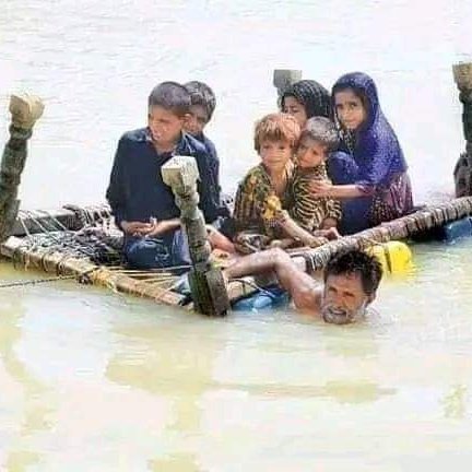 shahrozmayo2's tweet image. #NewProfilePic