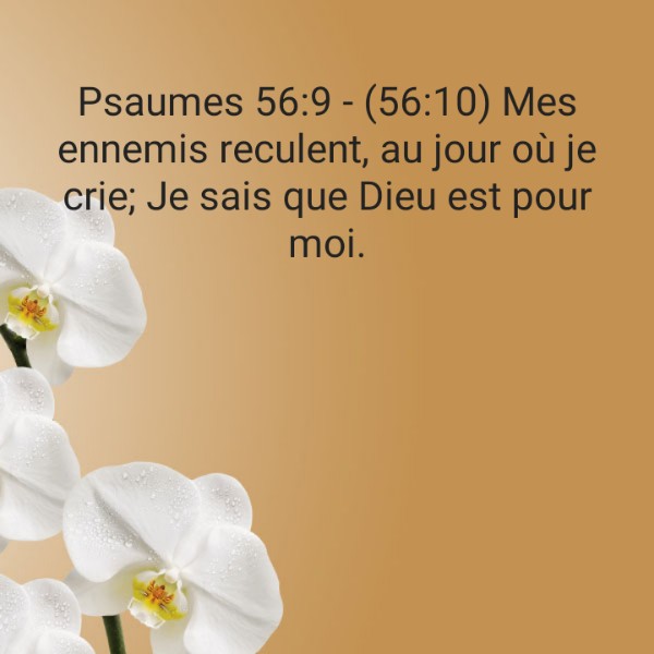 La Bible Parole Vivante
zavarise.com.br/LaBible