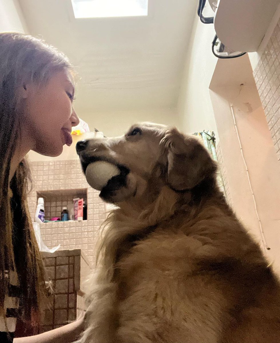 inquirerdotnet's tweet photo. RUN FREE, MATTY 🐾🤍

LOOK: Actress Chie Filomeno mourns the passing of her fur baby, Matty.

“I didn’t know angels came with four paws till I met you Mattyboo. [T]thank you for completing our home and thank you for completing me,” Filomeno writes. | 📷: Chie Filomeno/Instagram https://t.co/JTa7bkNFie