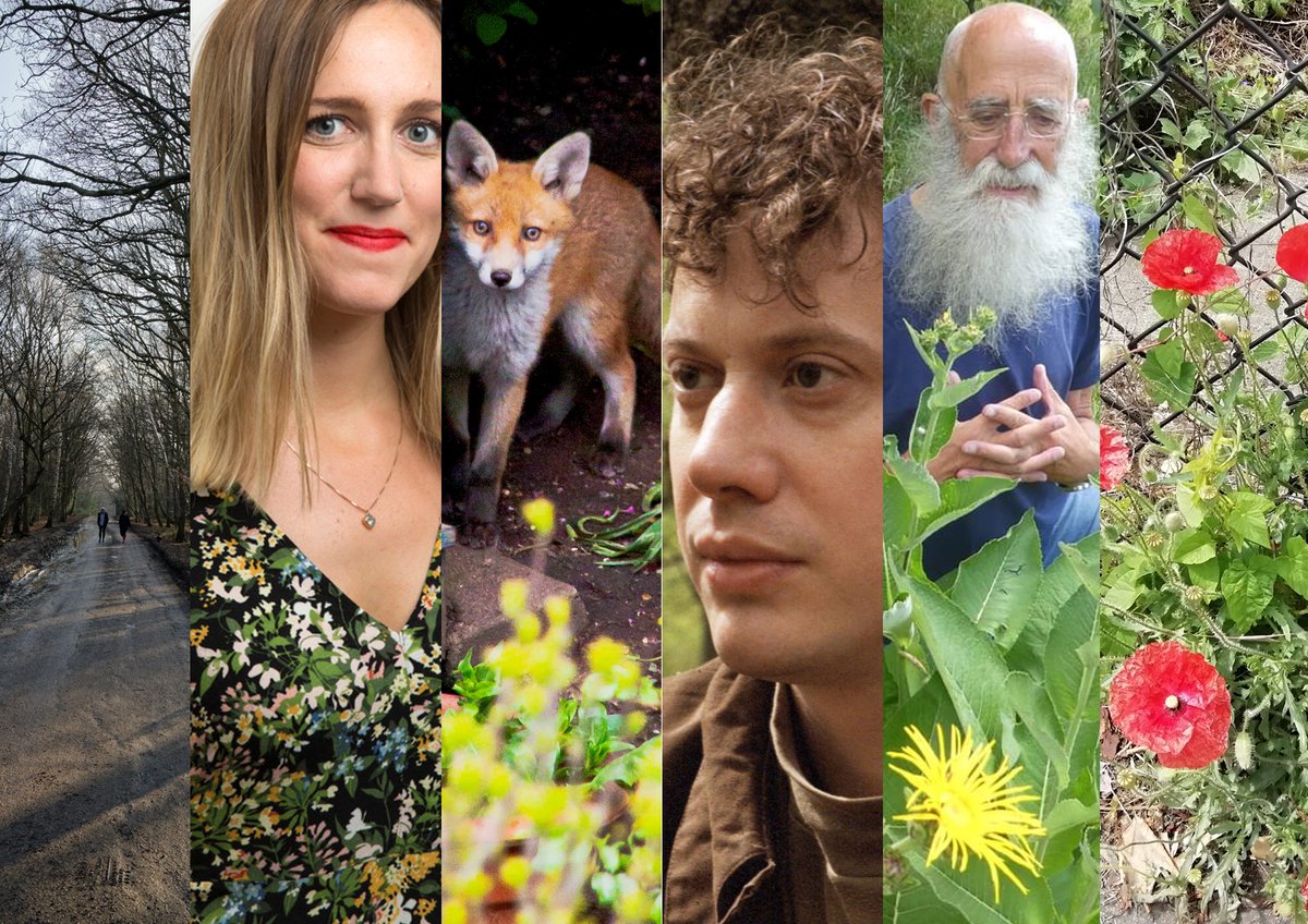 Book your ticket to <a href="/Reweirding_/">Reweirding:</a> 's Urban Nature: Animals, Plants and Life in the City event on 13th September at <a href="/amershamarms/">The Amersham Arms</a>. We'll be showing shorts by @_KevinBoniface_ and Ryan Powell. #Nature #wildlife #Psychogeography
videostrolls.com/2022/08/26/rew…