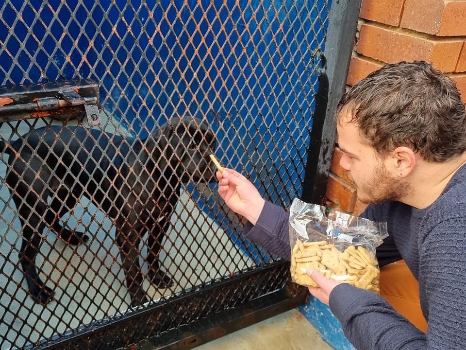 CubeZoo's tweet photo. Giving and RECEIVING. Thank you for catering us #SPCA Randburg.

#SPCA #giving #receiving #communityservice #cubezoo #teambuilding https://t.co/Xo64TEjOaw