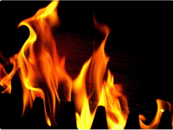 ani_digital's tweet photo. Worker killed in blast inside Meerut firecracker factory

Read @ANI Story | https://t.co/cQaNaKqyxl
#MeerutFire #workerkilled #Firecrackerfactory https://t.co/db6HfHw9Wk