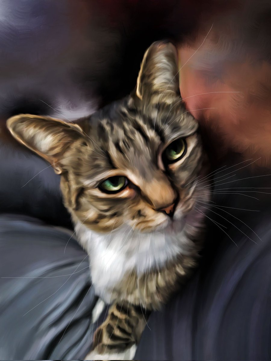 sarder94's tweet photo. #catpainting #catart #cat #art #painting #catsofinstagram #catportrait #cats #catlover #petportrait #catdrawing #artist #artistsoninstagram #artwork #catartist #catlovers #acrylicpainting #animalart #catillustration #watercolor #illustration #catstagram #catpaintings #catartwork https://t.co/pHH7THeR5K