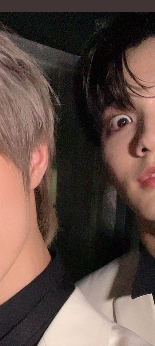 viola 🐹 (@ChestraViola) / Posts / X