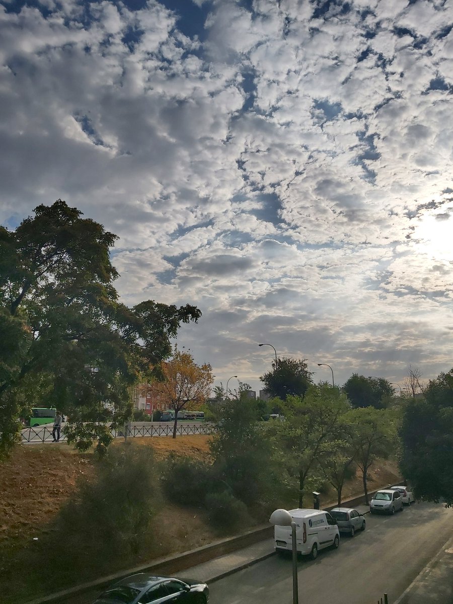 MejoraTuÉxitoLaboral tweet media