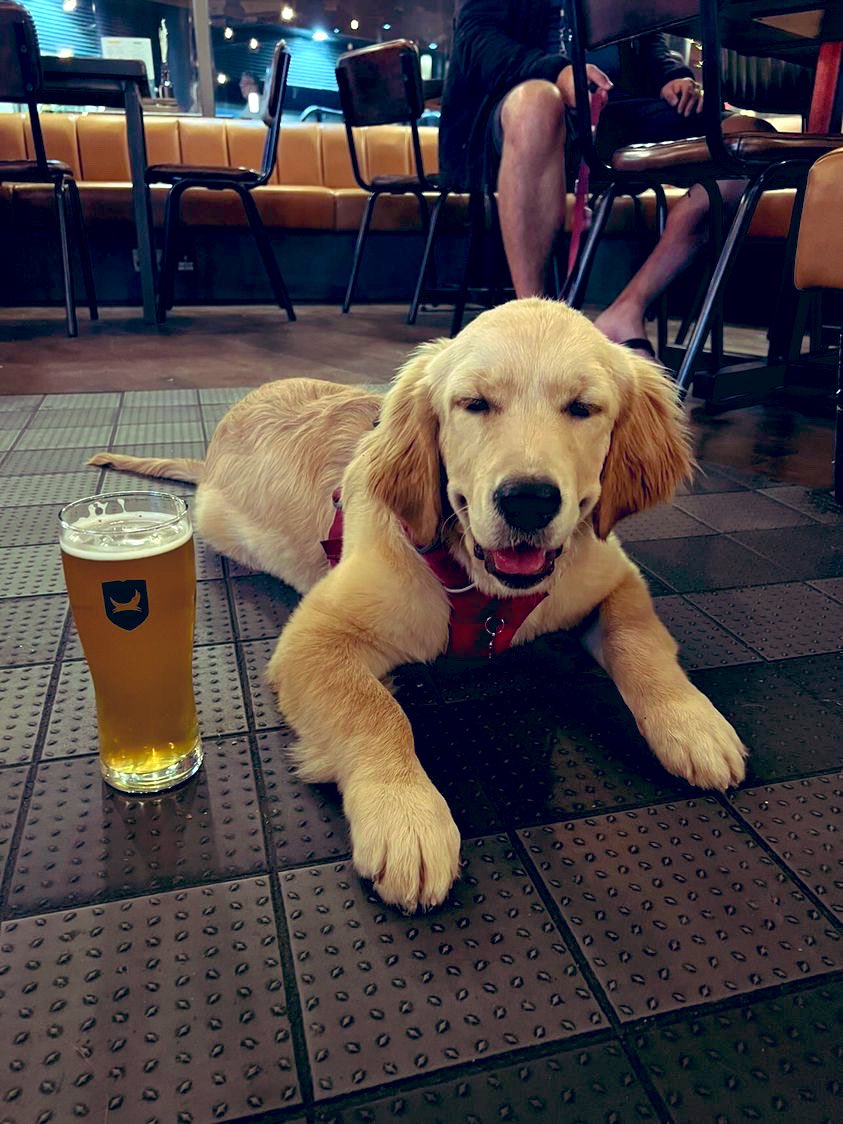 BrewDog Paddington tweet media