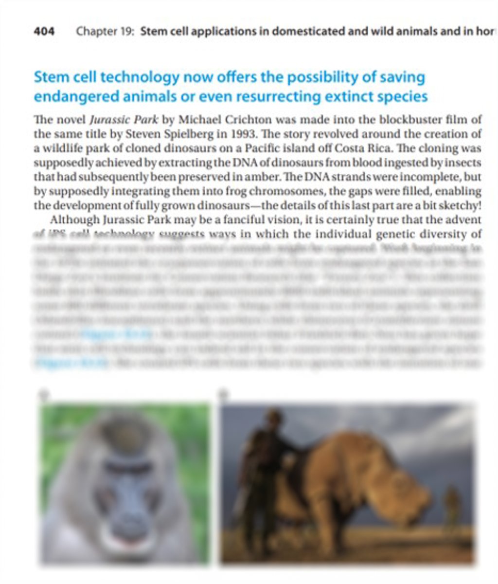 bookStemcell's tweet photo. #Stemcell biology is not just about their use in #medicine. This #textbook covers all aspects of stem cell use inc. #endangered or #extinct species preservation. We discuss the #ethical and #technical considerations in ch 19. #deextinction #iPS #biology
https://t.co/k3ezthdhjp https://t.co/c68s5Bghg1