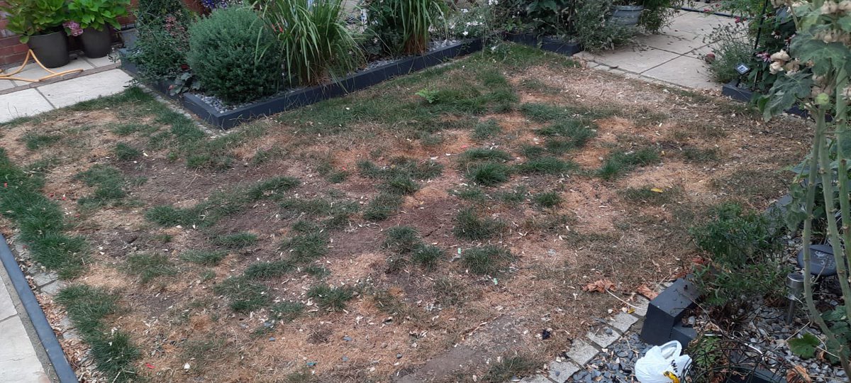 InfoArtgrass's tweet photo. A garden in Baldock, fully transformed using PAG Dynamic (32mm), a hard wearing, natural pile. The length of this grass makes it suitable for children and pets, plus it’s easy to maintain! Get in touch today! 07859 920561
https://t.co/UBlQNS8NJO 
#PAG #premiumartificialgrass https://t.co/WvS2H3Xl6Z