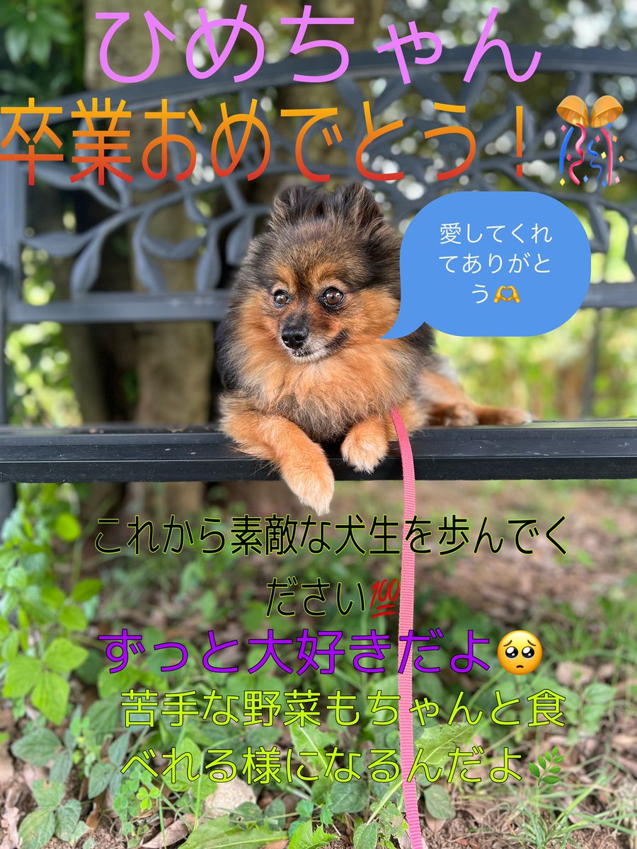 ﾅﾂｷｻﾝ👁喫煙所の妖精 tweet media