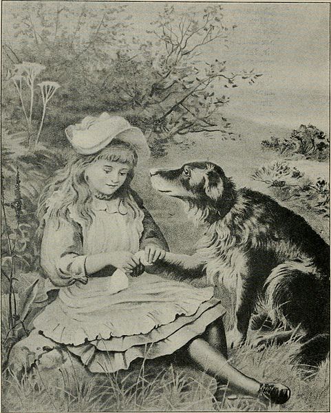 FlorencesLondon's tweet photo. Florence's 1st attempt at nursing is documented as treating the injured paw of local sheepdog Cap when she was child. An injured working dog was no use to its owner &amp; probably would have been destroyed, so she saved his life. This drawing imagines the scene. #InternationalDogDay https://t.co/acHlc96yAE