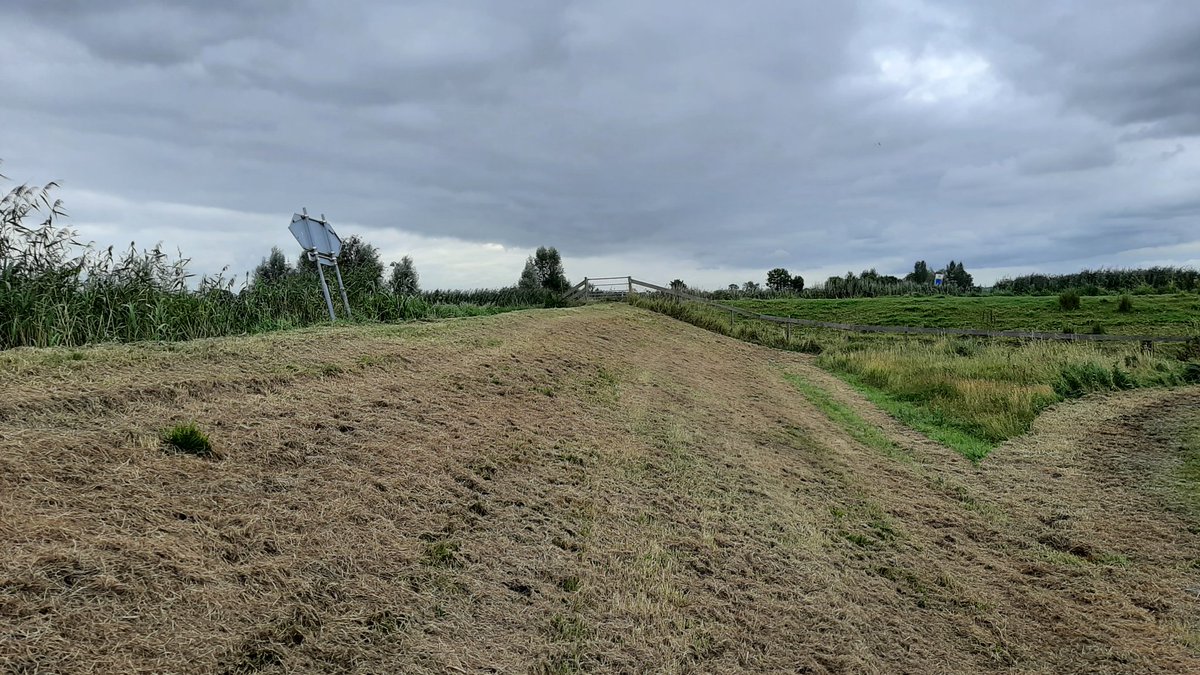 JeroenHaan1's tweet photo. Bij de #Grecht-West boven #Zegveld @gemeentewoerden staat het water nog hoog, toch is daar schade aan de dijk door #droogte. Droogtescheuren houden we bij @HDSR_waterschap in de gaten, reparatie met klei als het nodig is & dit stuk dijk hebben we beregend tegen uitdroging. https://t.co/GCyEIHT8TV