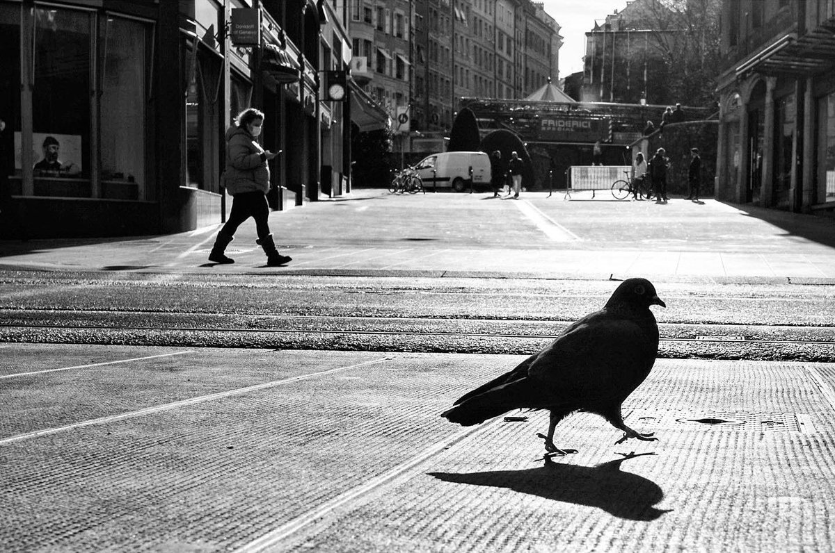 Stepping it out in Geneva 

Copyright Kieron Beard
#pigeon #strideby #silhouette #streetphotography #leicacamera