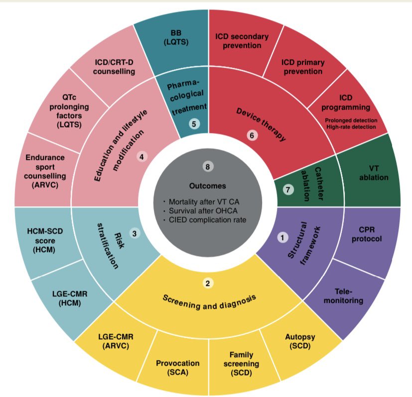 Suleman Aktaa (@sulemanaktaa) on Twitter photo 👀🆙 <a href="/escardio/">European Society of Cardiology</a> #QualityIndicators for VA & SCD #Prevention alongside the 2️⃣0️⃣2️⃣2️⃣ <a href="/escardio/">European Society of Cardiology</a> #Guidelines.. Published today <a href="/ESC_Journals/">European Society of Cardiology Journals</a> #Europace
#Epeeps #ESCCongress
academic.oup.com/europace/advan… 👀🆙 <a href="/escardio/">European Society of Cardiology</a> #QualityIndicators for VA & SCD #Prevention alongside the 2️⃣0️⃣2️⃣2️⃣ <a href="/escardio/">European Society of Cardiology</a> #Guidelines.. Published today <a href="/ESC_Journals/">European Society of Cardiology Journals</a> #Europace
#Epeeps #ESCCongress
academic.oup.com/europace/advan…