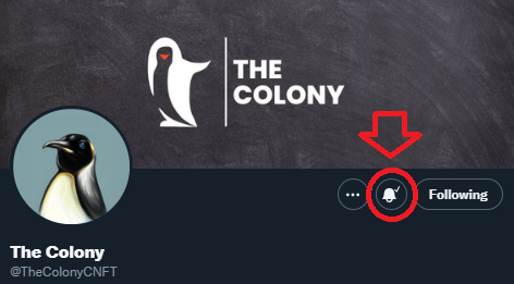 TheColonyCNFT's tweet photo. 200 $ADA and 5 Family Scrolls Handpick to 5 different people that turn on post notifications! 🎉 Join the Colony Frozty Gang 🐧

Must also:
- Show pic proof in the comments
- Like &amp; retweet this post
- Follow us

#Vasilhardfork #CNFTs #CNFT #CNFTGiveaway #CARDANO $ADA $Frozty https://t.co/fMSoc5nYPt