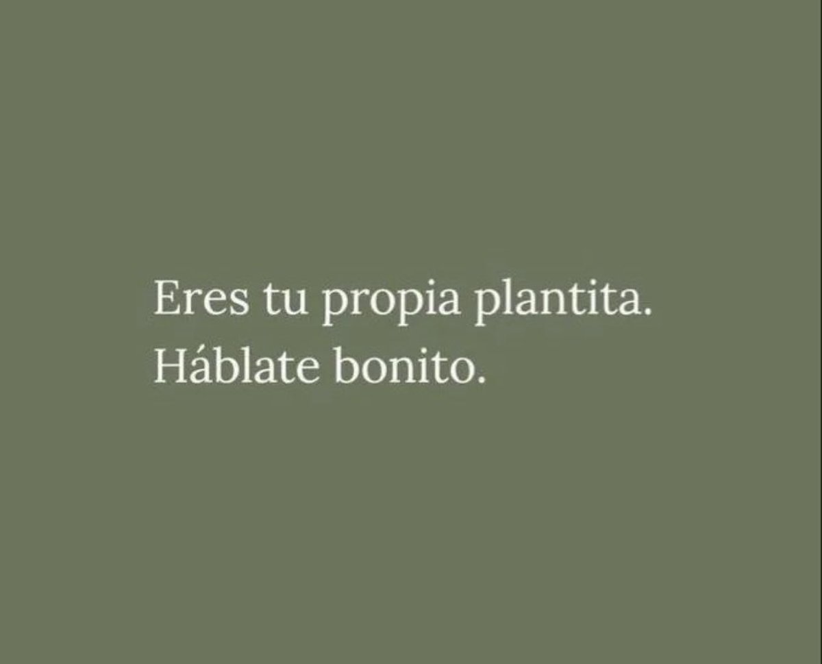 mafezamoraa's tweet photo. Antes de dormir recuerda : eres tu propia propia 🪴, 🗣 bonito 🫶🏼 #quoteoftheday https://t.co/aHvEdNazvx