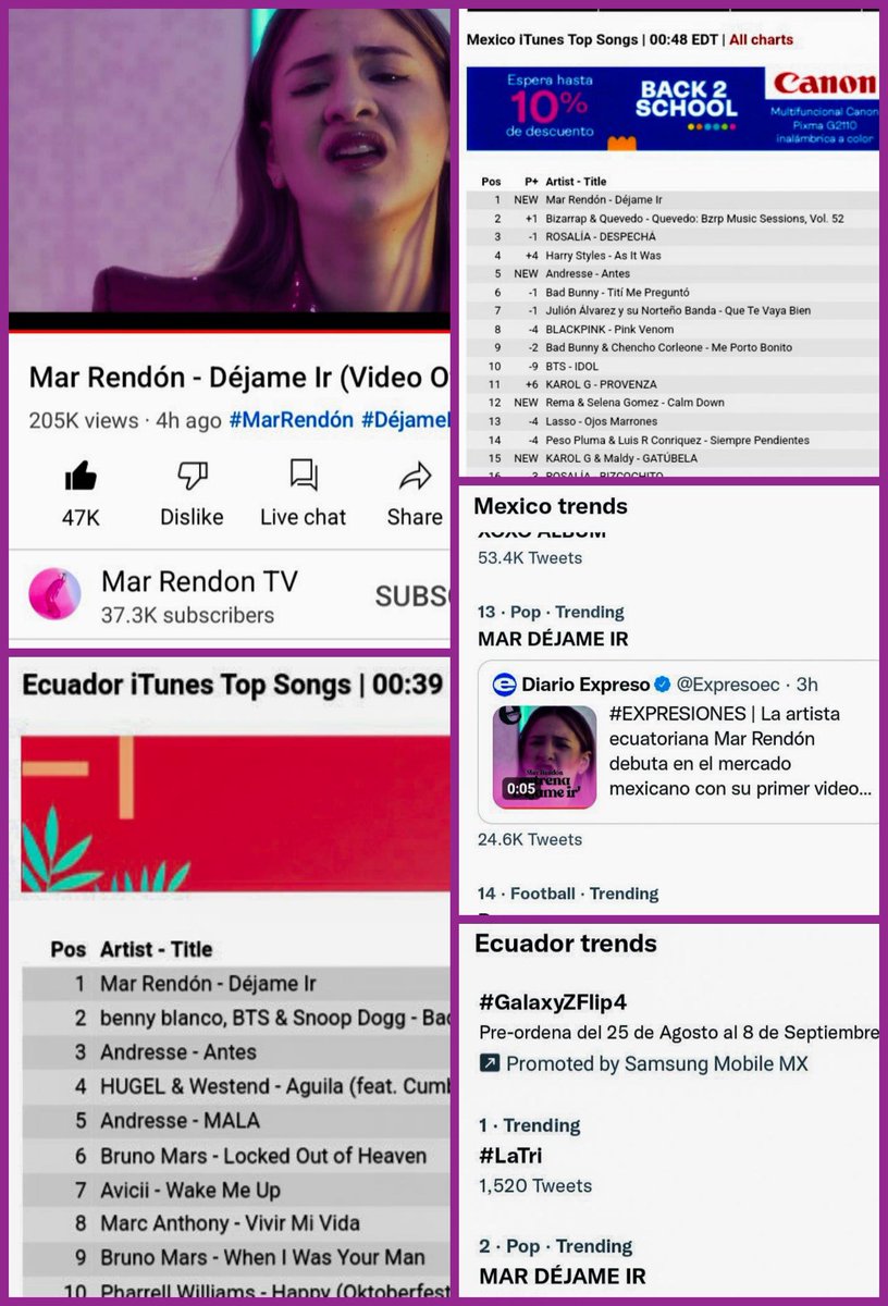 La Relación Simbiótica Entre La Liebre Y La Pantera Negra, image size:816x1200