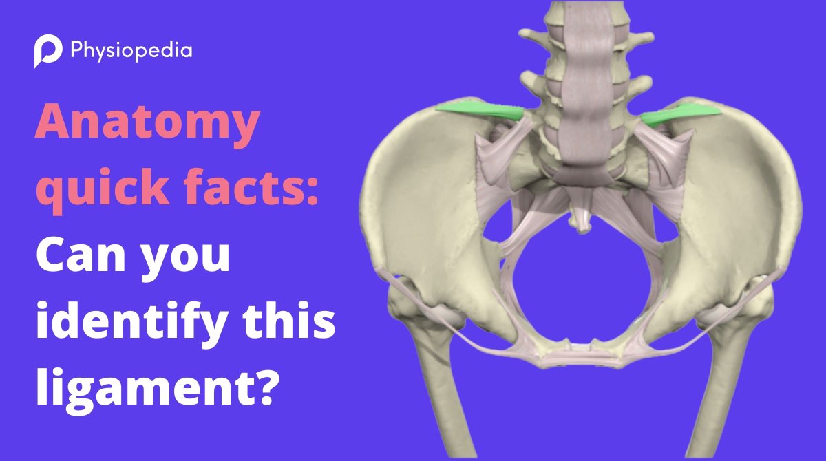Physiopedia on Twitter "🤔Anatomy quick facts Can you identify this