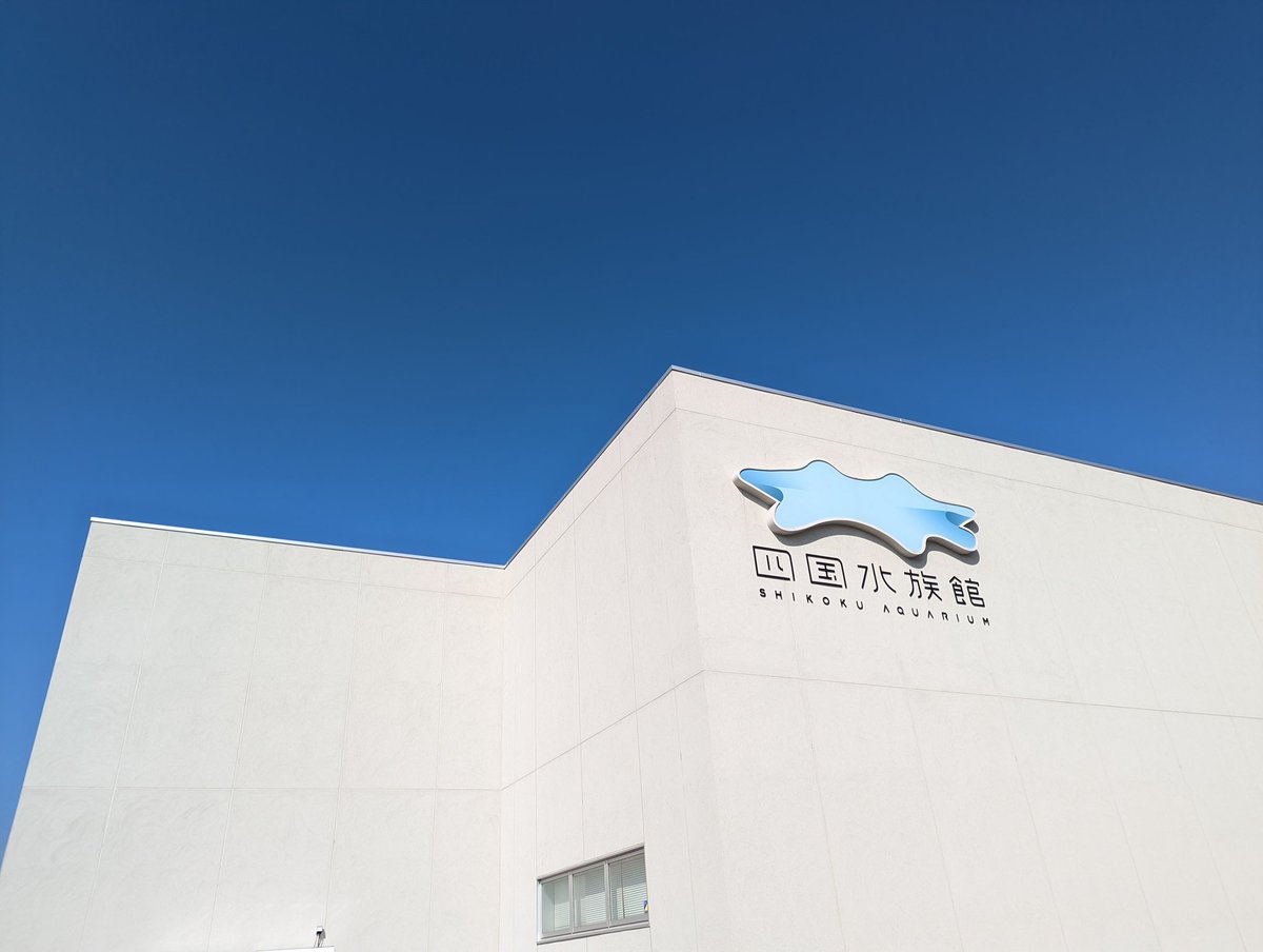 don_donko_1849's tweet photo. 四国水族館🐧🐬🐠🐟
#pixel6pro https://t.co/fj6W9YnfQn