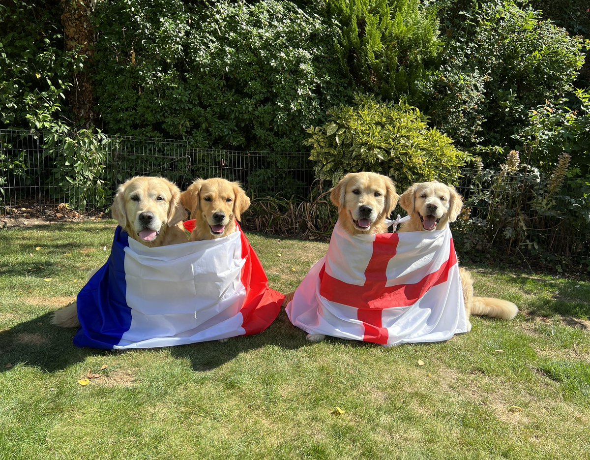 Leo and Friends Therapy Dogs (@leoandfriendstd) on Twitter photo It’s #internationaldogday so here we are with the flags that relate to our family. We work <a href="/SotonChildHosp/">Southampton Children's Hospital</a>, UK
🇬🇧
Jessie & Quinn were born in England 🏴
Leo & Pollyanna were born in France 🇫🇷
We have friends all over the world & love it that way 🐾🐾
#dogs #goldenretriever It’s #internationaldogday so here we are with the flags that relate to our family. We work <a href="/SotonChildHosp/">Southampton Children's Hospital</a>, UK
🇬🇧
Jessie & Quinn were born in England 🏴
Leo & Pollyanna were born in France 🇫🇷
We have friends all over the world & love it that way 🐾🐾
#dogs #goldenretriever