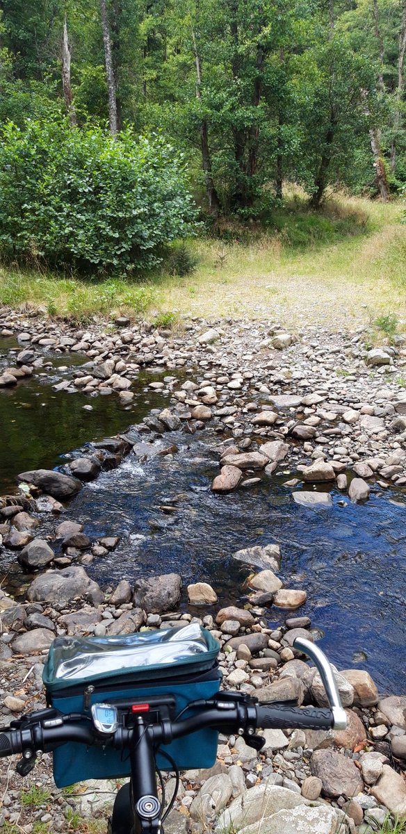 Martyn Willows tweet media