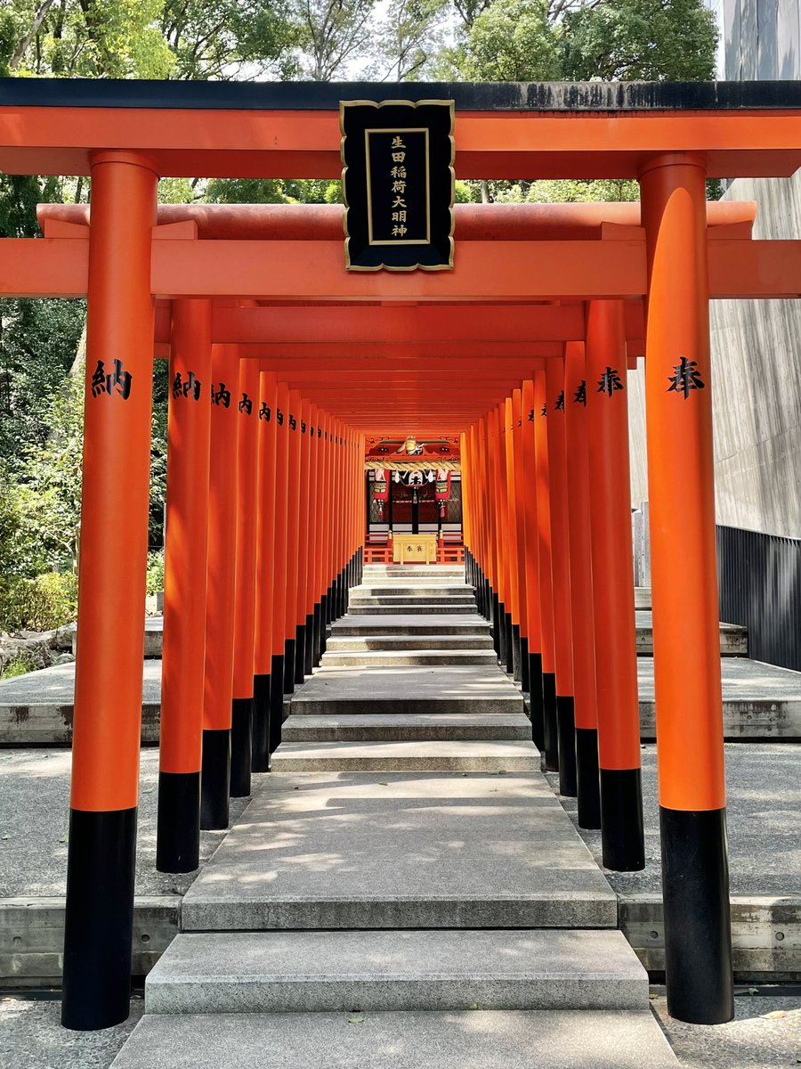 pawaspogo's tweet photo. 本日夕方に久しぶりのYouTube更新です！場所は生田神社！ https://t.co/3kiehPbnhw