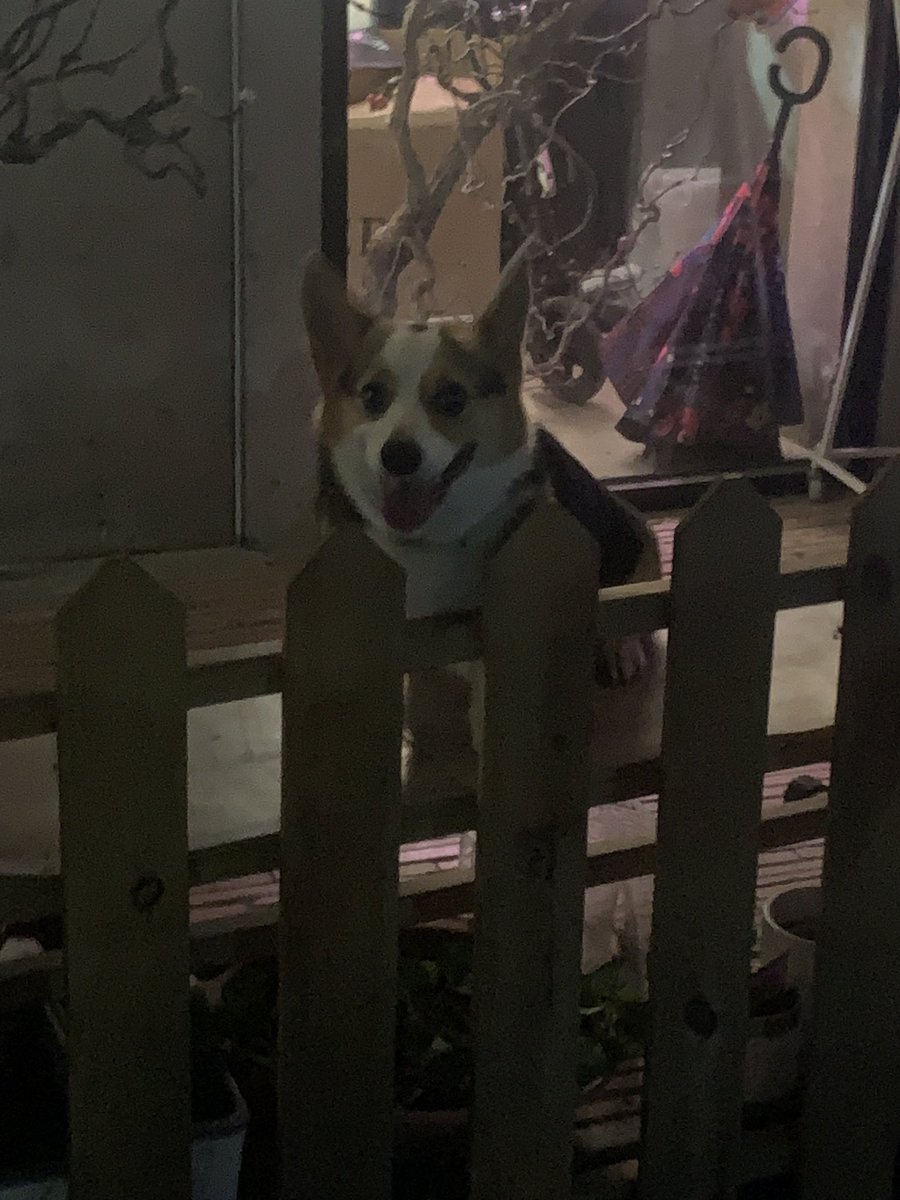 炉石的更新真是烂透了