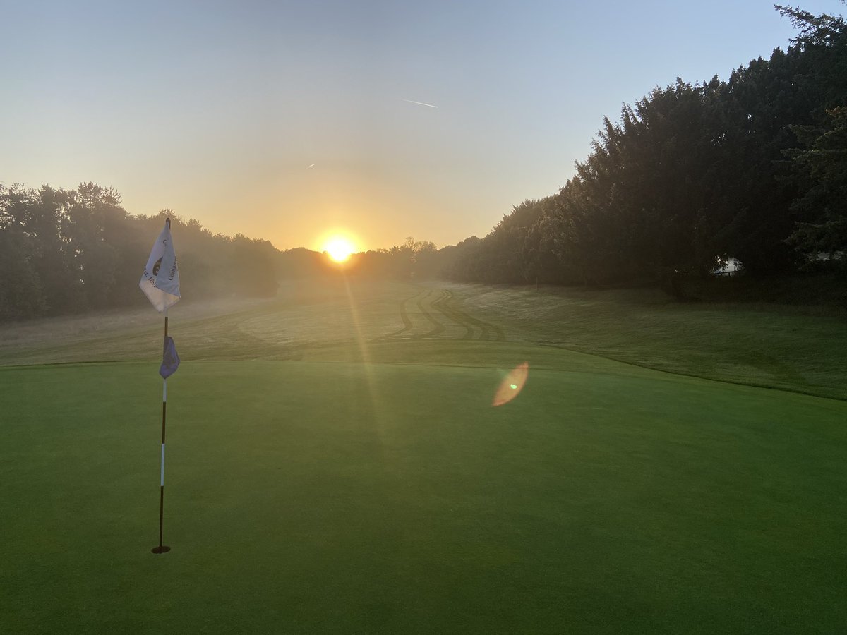 iestyn carpenter tweet media