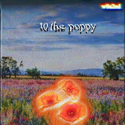 My new song with 2 very good friends just released tonight. This is a very special song for me. I produced it by myself and did a few backing vocals, hope you guys enjoy To the Poppy! li.sten.to/tothepoppy