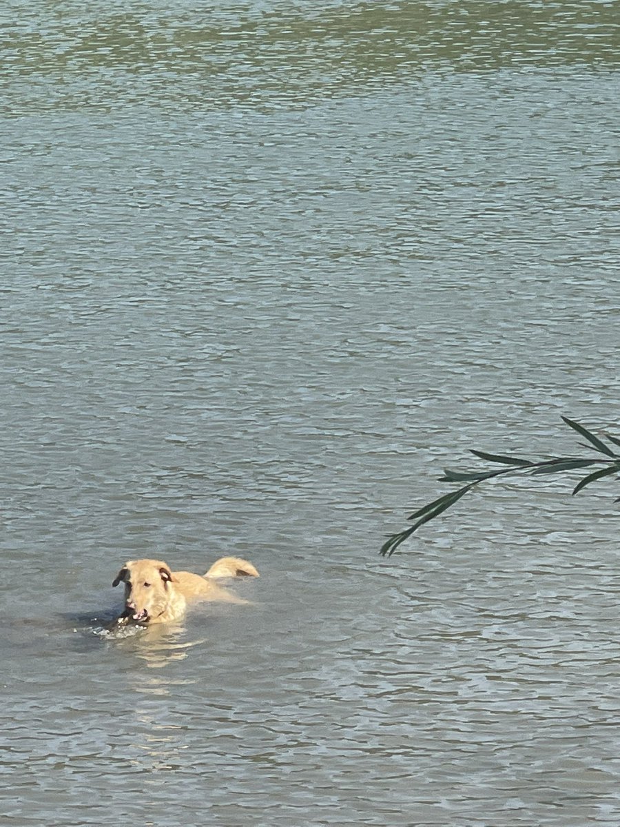 Dizzy65529182's tweet photo. @CBC I like to swim. A LOT https://t.co/1W7nEJuy1t