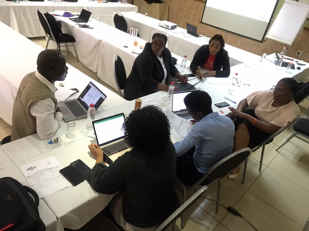 PAVIA_project tweet media