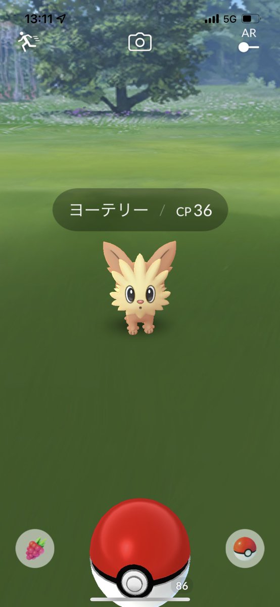 ポケモンgo ヨーテリーの入手方法 能力 技まとめ 攻略大百科