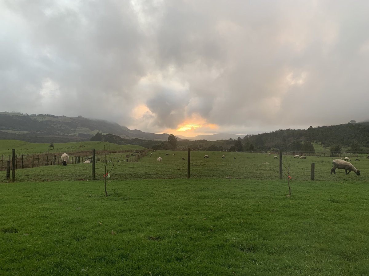 MonicaWebb1's tweet photo. Sunset over the Hokianga. Far North NZ is just stunning https://t.co/Jf2xd0omI8