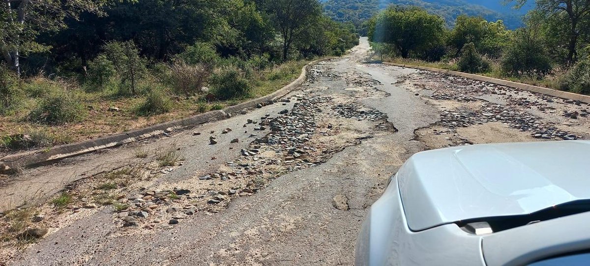 South Africa’s Transport Minister  plans to raise issue of Zimbabweans that are destroying roads in South Africa. The budget for the roads does not include Zimbabweans who use the roads illegally!!! Zimbabweans must walk on their own roads there in Zimbabwe!!!