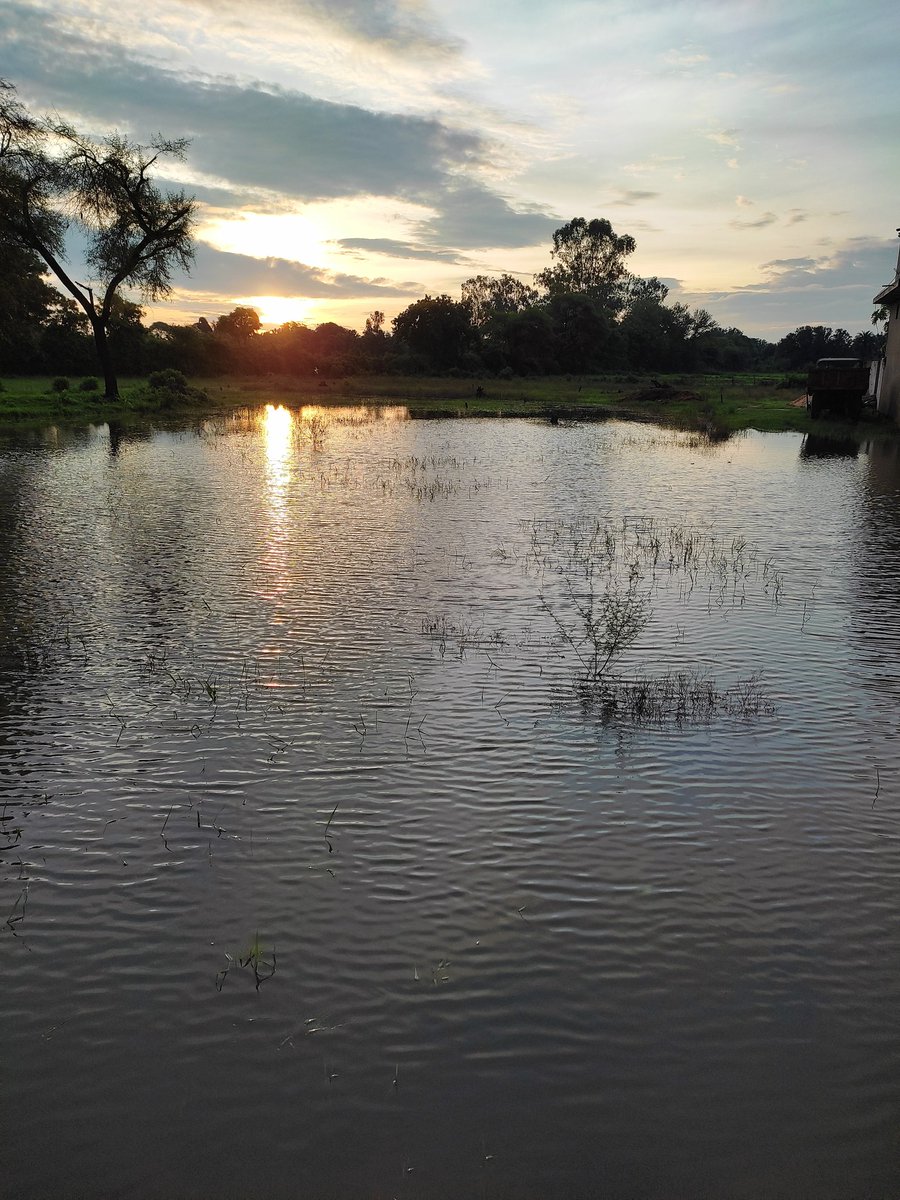 authorsangeeta's tweet photo. Mere Ghar ke pass ki tasvire. ❤
#sunrise #morning #nature #PictureOfTheDay #nearmyhouse https://t.co/bksLGdmhCC