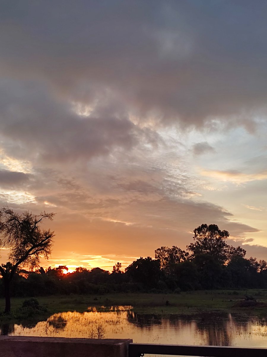 authorsangeeta's tweet photo. Mere Ghar ke pass ki tasvire. ❤
#sunrise #morning #nature #PictureOfTheDay #nearmyhouse https://t.co/bksLGdmhCC