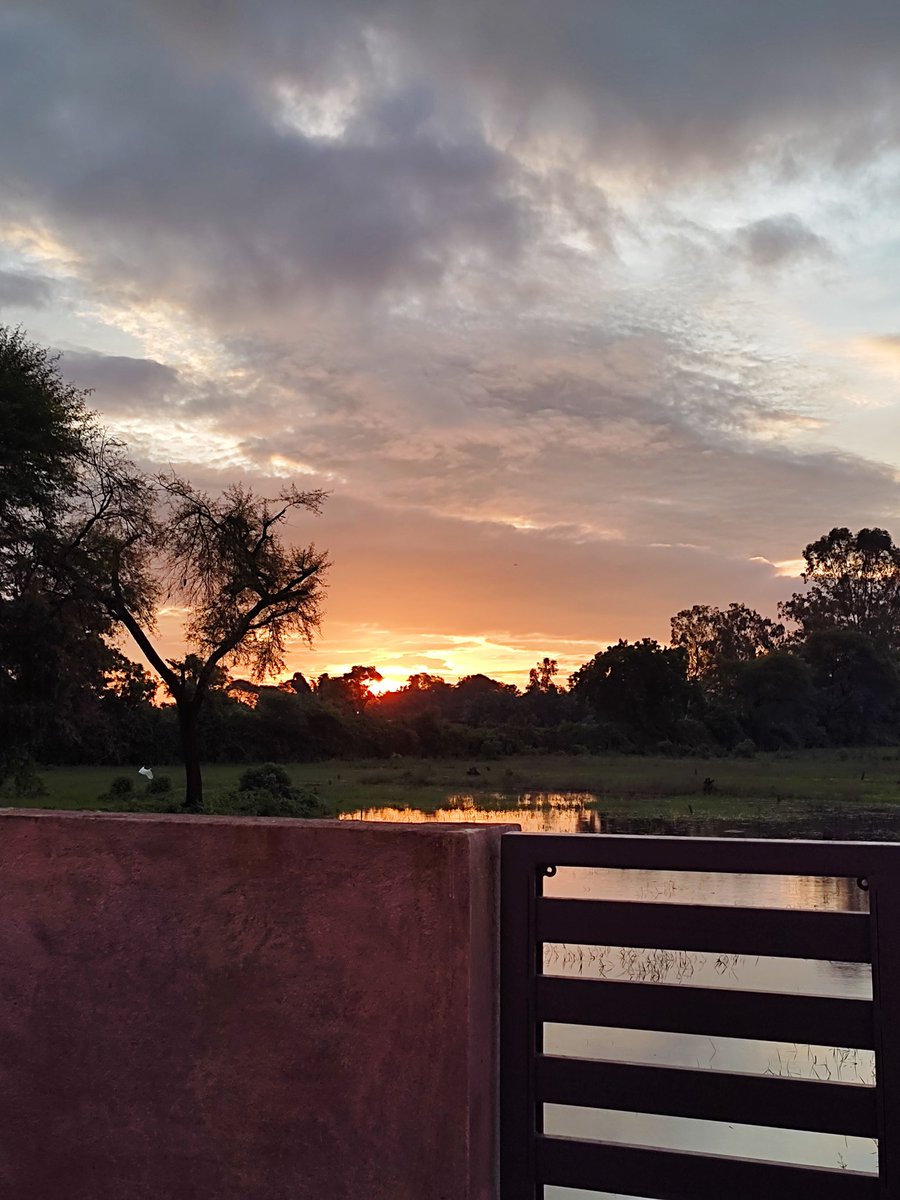 authorsangeeta's tweet photo. Mere Ghar ke pass ki tasvire. ❤
#sunrise #morning #nature #PictureOfTheDay #nearmyhouse https://t.co/bksLGdmhCC