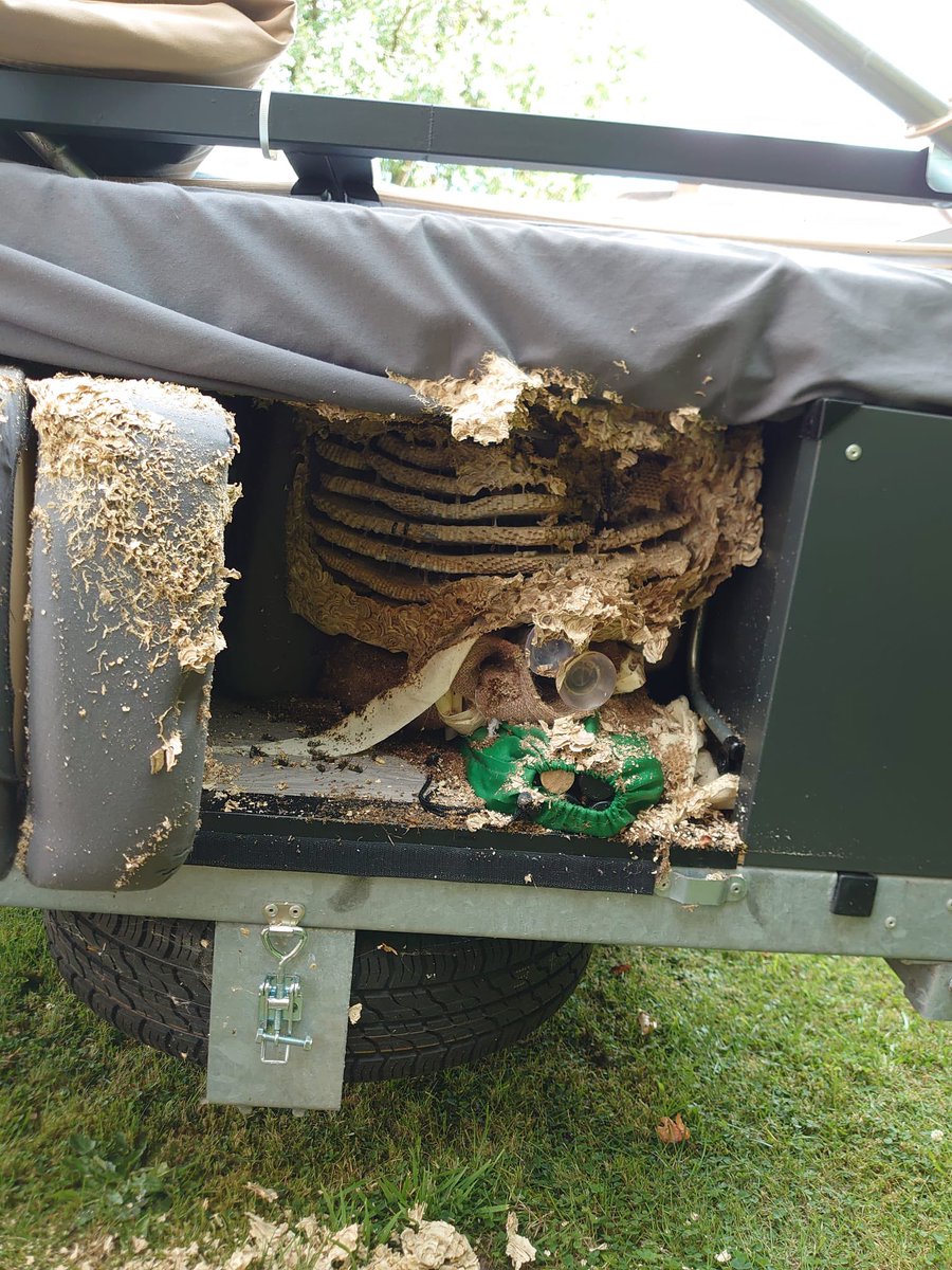 MrsGingerLawyer's tweet photo. After a beyond crazy working week, the OOO is now ON #LoveThatFeeling
And the trailer tent is finally mended post #WaspGate too! So the work of packing up โฌ๏ธ so can drive to a remote field with no WiFi beginsโฆ
See you on the other side peeps & enjoy your bank holiday! #Happy https://t.co/CDGxiFOl74