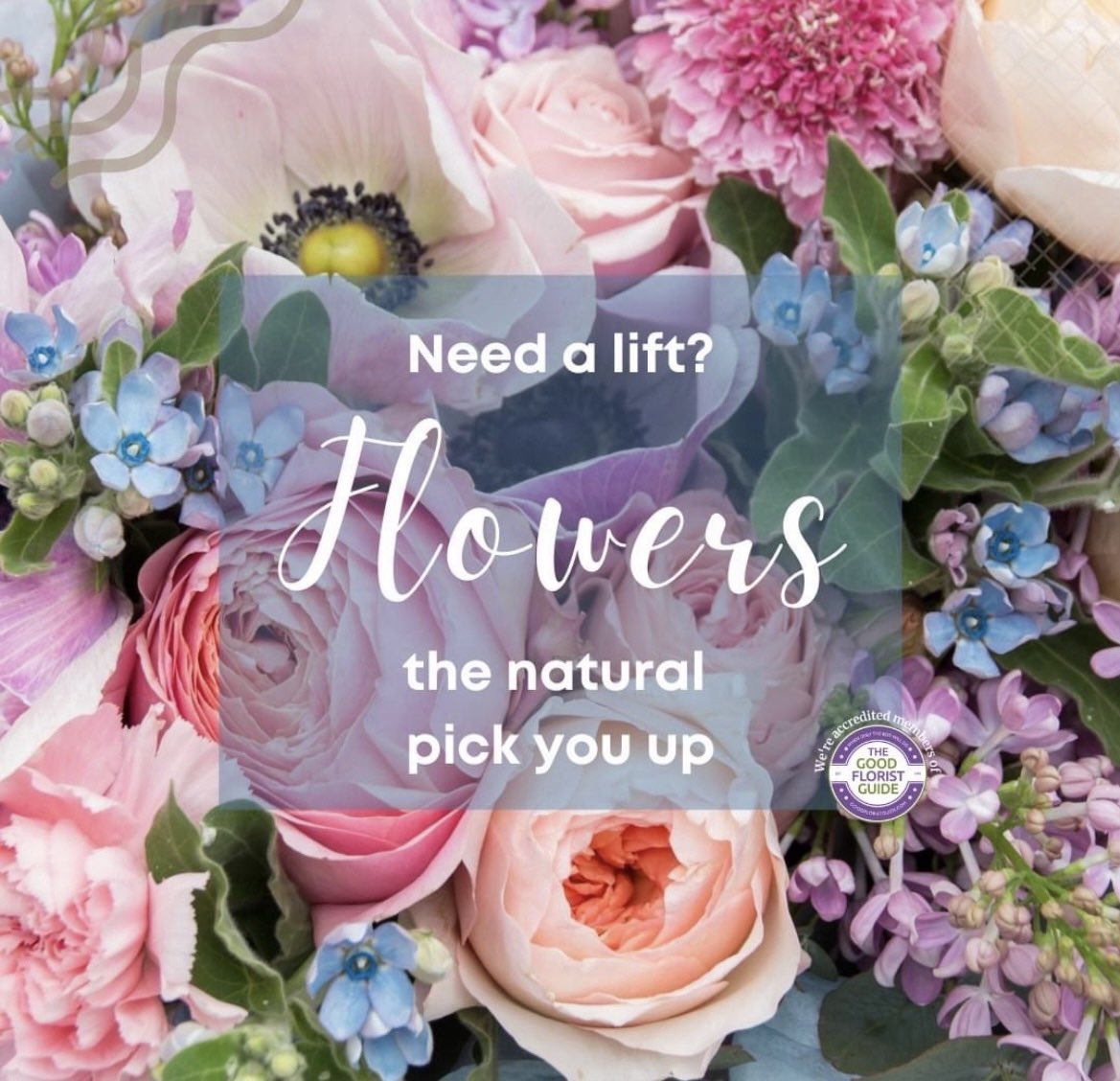 StemsOf's tweet photo. It’s Friday, Enjoy your the Bank holiday weekend everyone 💐💕
📞07521 911 432
#stemsoftaunton
#tauntonpremierflorist
#goodfloristguide
#supportlocal https://t.co/TrfyBux3GN