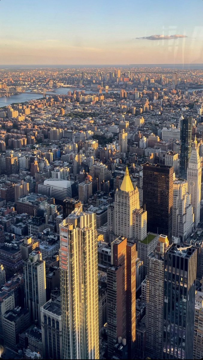 Bjonda Haliti tweet media