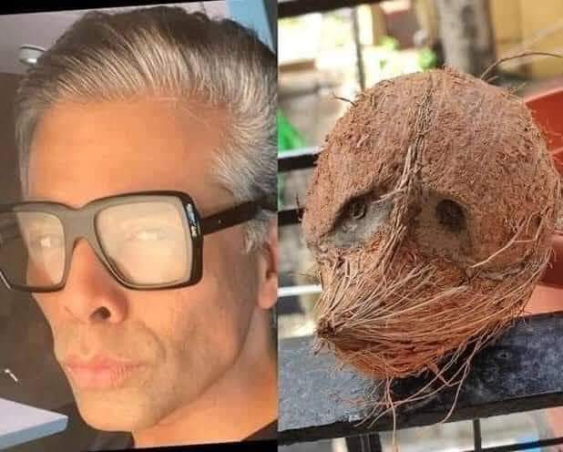 muunna_dikshit's tweet photo. #Brahmastra #Liger #ligermoviereview 

Remember the profits from these films goes to #KaranJohar https://t.co/uB95wkHp2m