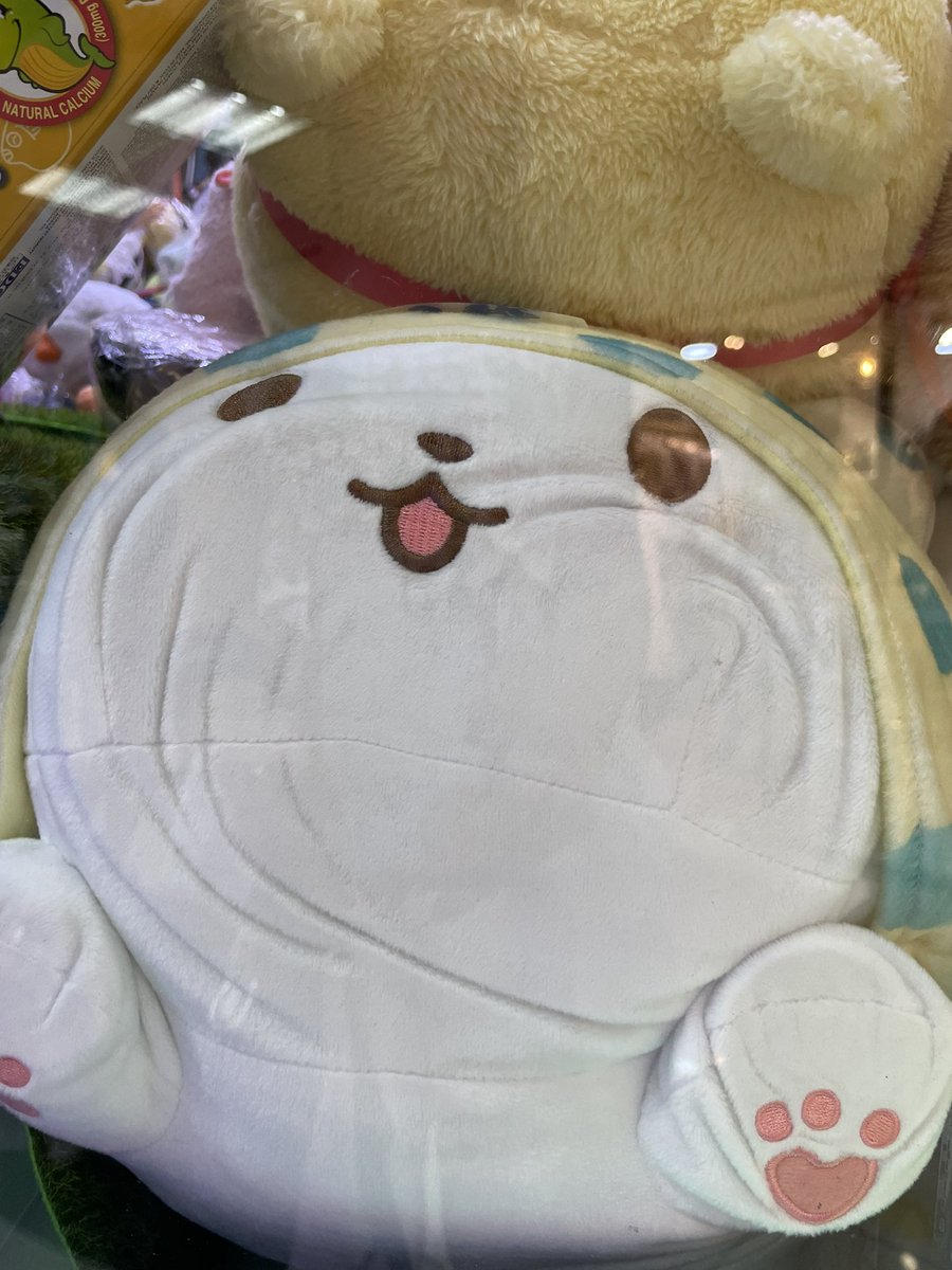 Tracy Wong 🧢 tweet media