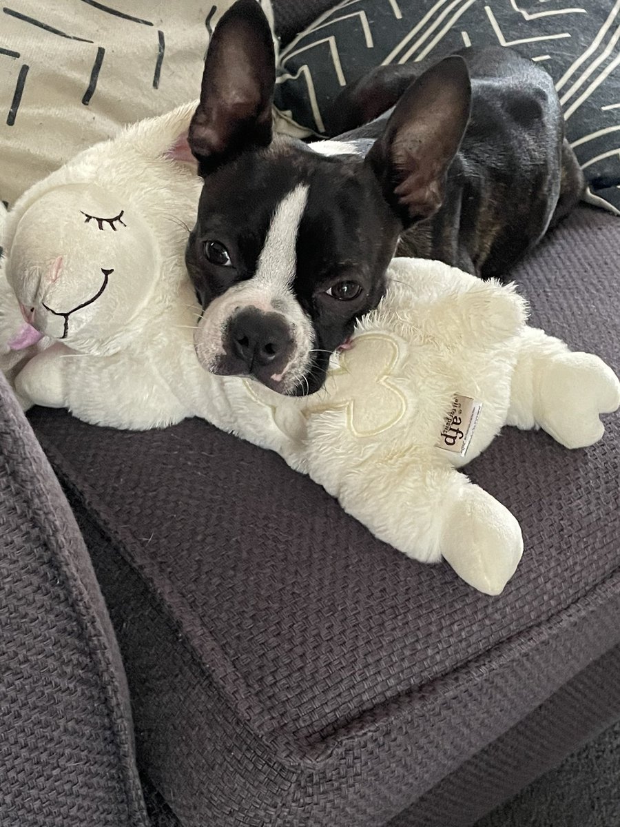 Chris Mackay tweet media