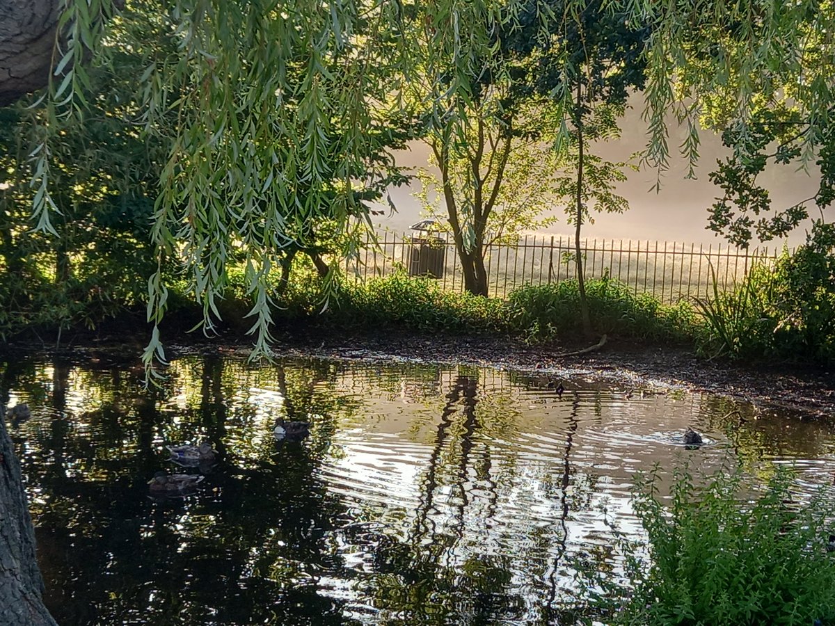 JulieBa75962754's tweet photo. What a beautiful morning walking to work through Oxleas woods. If you want to work in London but not central London take a look at opportunities at Lewisham and Greenwich NHS Trust @LG_NHS @lgt_recruitment #greenwich #lewisham #NHS https://t.co/Vy0SEfsuIP