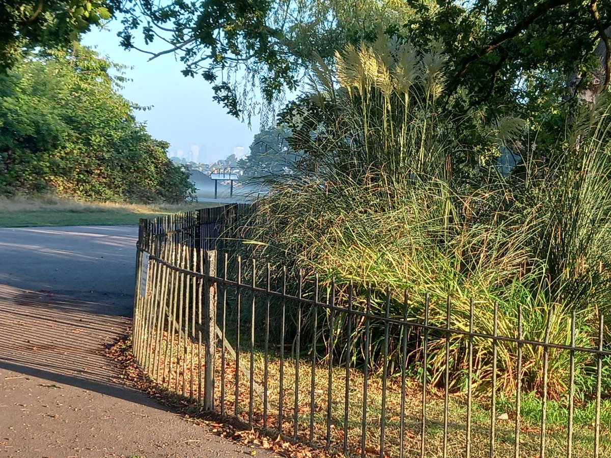 What a beautiful morning walking to work through Oxleas woods. If you want to work in London but not central London take a look at opportunities at Lewisham and Greenwich NHS Trust <a href="/LG_NHS/">Lewisham and Greenwich NHS Trust</a> <a href="/lgt_recruitment/">Recruitment_LGT</a> #greenwich #lewisham #NHS