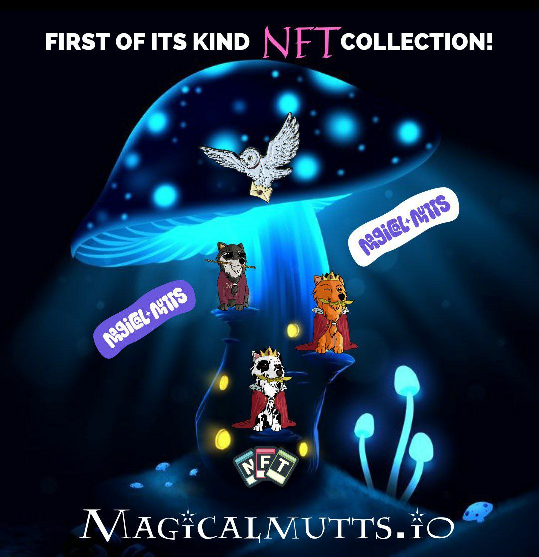 Emma_6465's tweet photo. #DumbleDAO Get involved in NFT collection and be happy. #magicalmutt
Linktree: https://t.co/XYGac6t82L
#DUMBLE #DumbleDAO $DUMBLE
#DEX #BSC #BSCGems #NFT #CRYPTO #RBXS #RBXSamurai #NFTGiveaway #NFTraffle #NFTcontest #NFT #NFTs https://t.co/0GR2DG02Ch