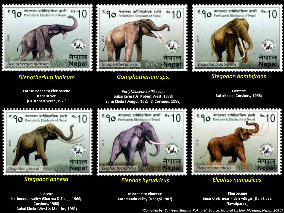SanjeetaSharmaP's tweet photo. When #Nepal is way ahead in designing #poststamp with based on prehistoric #proboscideans that once grazed on the basin of Nepal and I am so glad that many #fossils were found around the Babai river...
........
#NaturalHistoryMuseumNepal #Paleontology #paleontologists https://t.co/NasRylFan3
