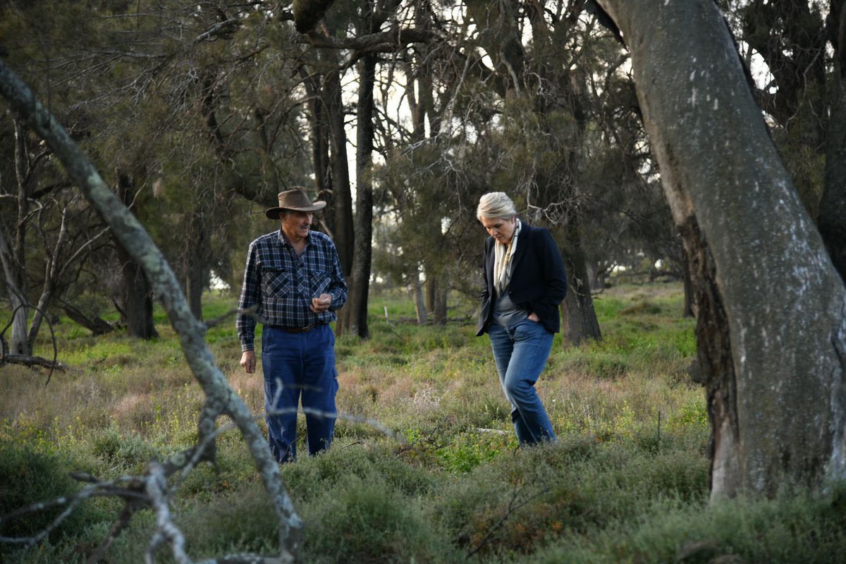 Today our government announced we will create a biodiversity certificates scheme.

It will mean farmers and landholders who restore or manage local habitat can receive biodiversity certificates which can then be sold to others.