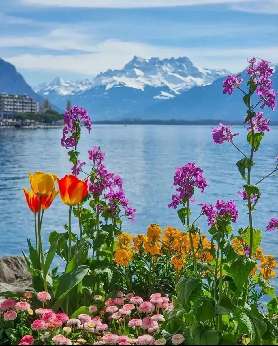 높높히 (@nopnophiee) on Twitter photo 